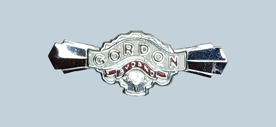 ft29Gordon.webp